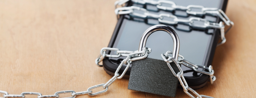 Red Barn Blog: Digital Detox